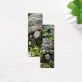 Cute Turtles (Desk)