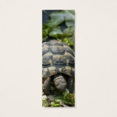 Cute Turtles (Back)