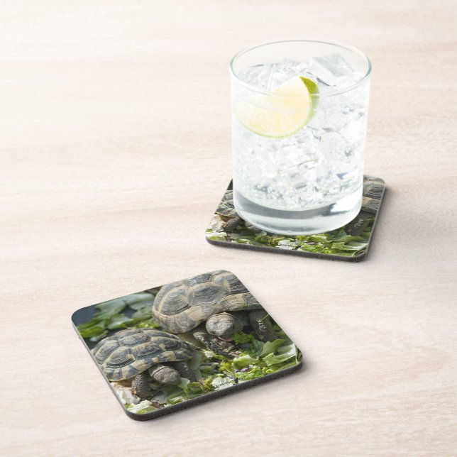 Cute Turtles Coaster (Right Side)
