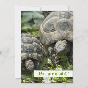 Cute Turtles Custom Invitations