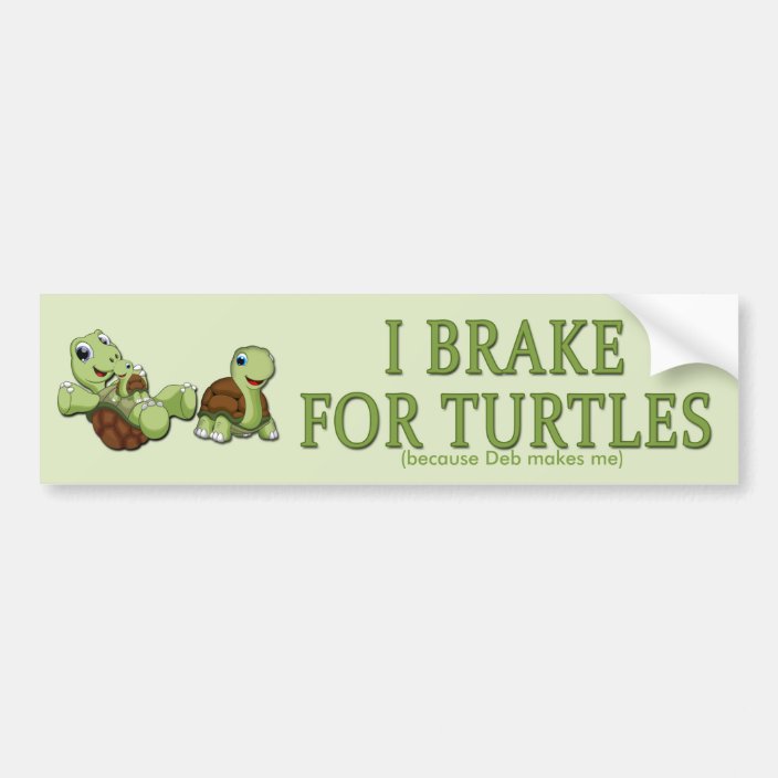 Cute Turtles - I Brake for Turtles Bumper Sticker | Zazzle.com