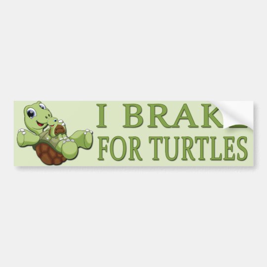 Cute Turtles - I Brake for Turtles Bumper Sticker | Zazzle