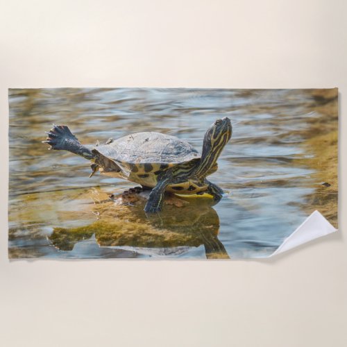 cute turtles rest at sun on pond  beach towel