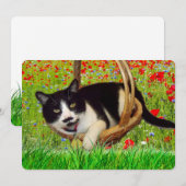 Cute Tuxedo Black Cat Card (Front/Back)