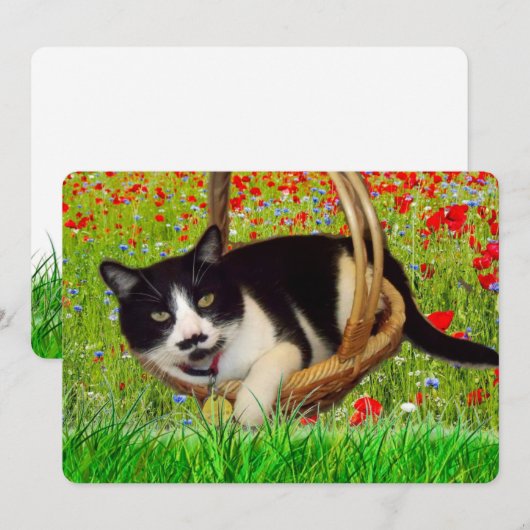 Cute Tuxedo Black Cat Card (Front/Back)