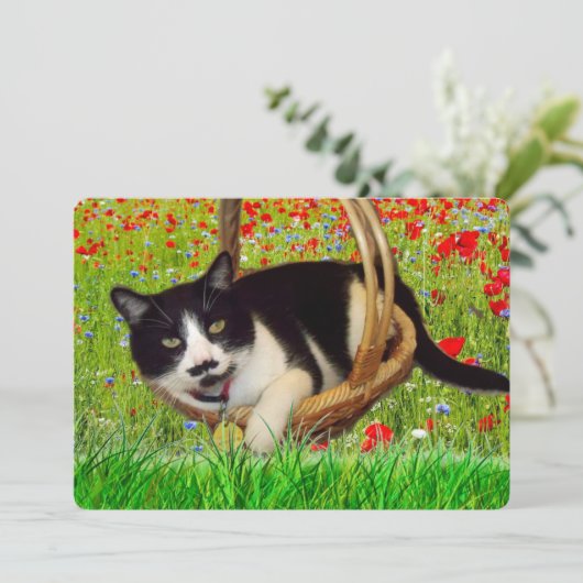 Cute Tuxedo Black Cat Card (Standing Front)