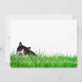 Cute Tuxedo Black Cat Card (Back)