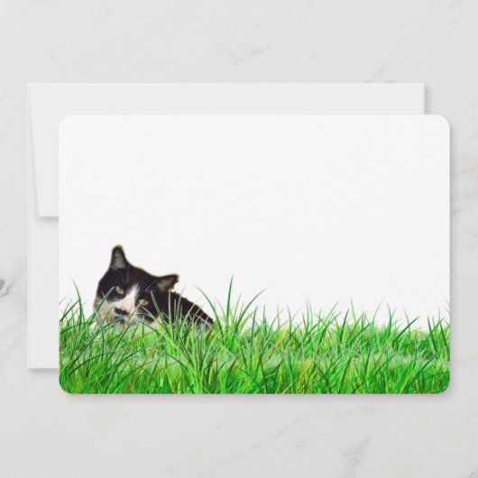 Cute Tuxedo Black Cat Card (Back)