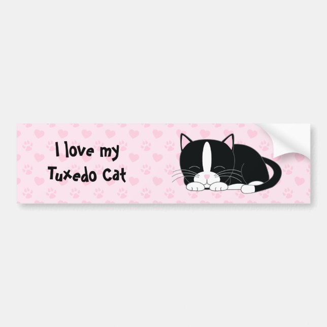 Cute Tuxedo Cat Bumper Sticker (Front)