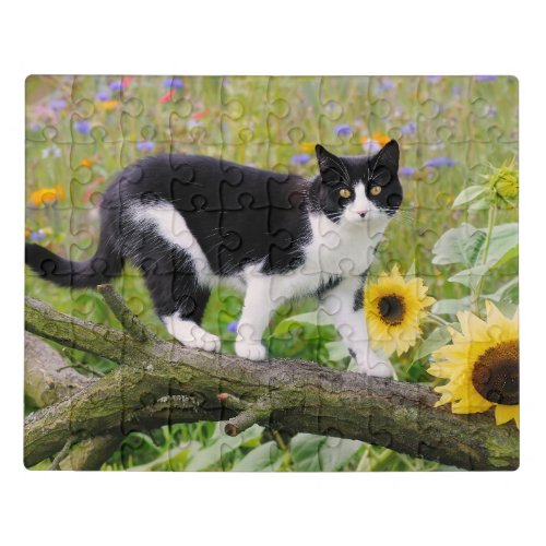 Cute tuxedo cat on a tree branch with sunflowers _ jigsaw puzzle