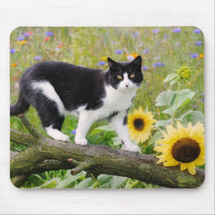 Cute tuxedo cat on a tree branch with sunflowers - mouse pad