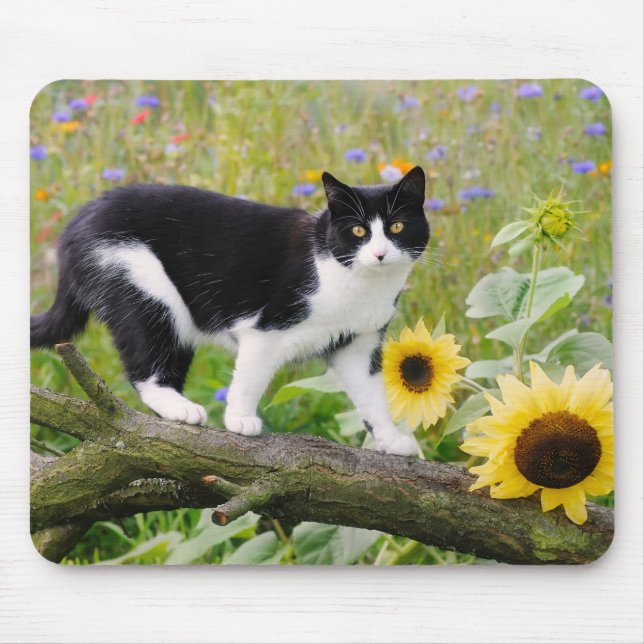 Cute tuxedo cat on a tree branch with sunflowers - mouse pad (Front)