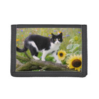 Cute tuxedo cat on a tree branch with sunflowers -