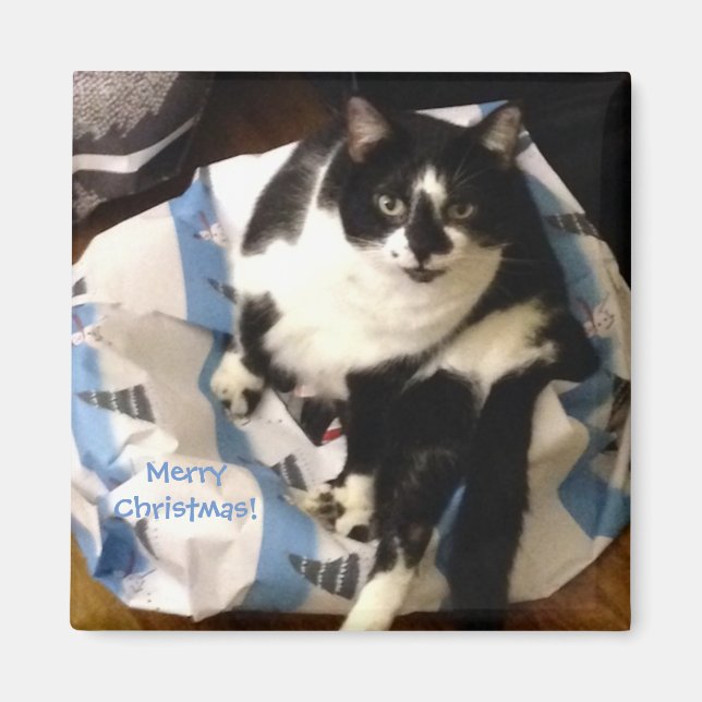 Cute Tuxedo Cat, on Present Christmas Magnets (Front)