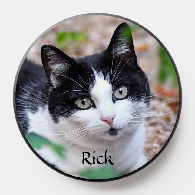 Cute Tuxedo Cat on the Garden PopSocket (Popsocket)