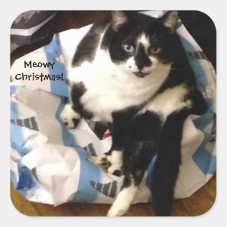 Cute Tuxedo Cat Present Meowy Christmas Stickers
