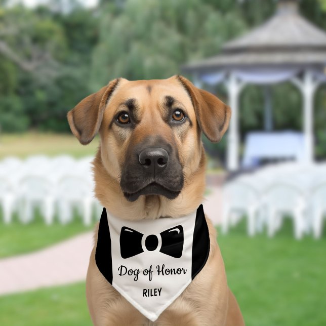 Cute Tuxedo Dog Of Honor Wedding Pet Bandana Collar (Creator Uploaded)
