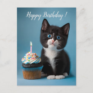 Cute Tuxedo Kitten Has A Birthday Cupcake For You Postcard