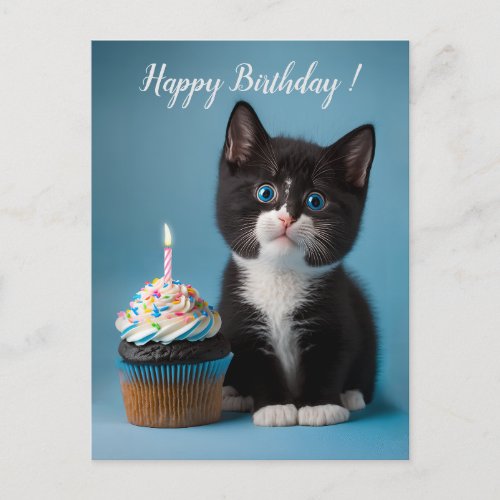 Cute Tuxedo Kitten Has A Birthday Cupcake For You Postcard