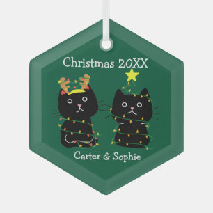 Cute Two Cat Christmas Lights Personalized Green Glass Ornament
