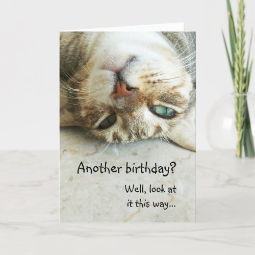 Cute Upside Down Cat Birthday Card