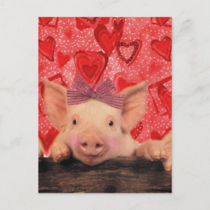 Cute Valentine Holiday Postcard