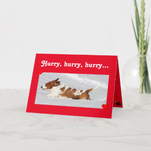 Cute Valentine w/Funny Basset Hound Running Holiday Card
