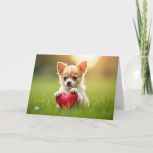 Cute Valentine's Day Chihuahua puppy Holiday Card