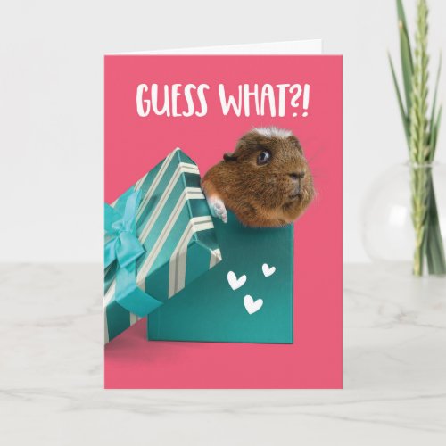 Cute Valentines Day Guinea Pig Present Holiday Card