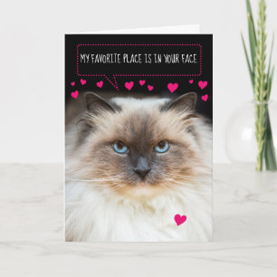Cute Valentine's Day Siamese Cat and Hearts Card