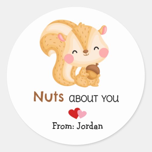 Cute Valentines Day Squirrel Nuts About You Classic Round Sticker