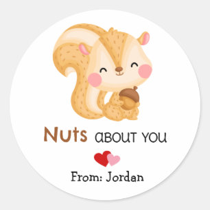 Cute Valentine's Day Squirrel Nuts About You Classic Round Sticker