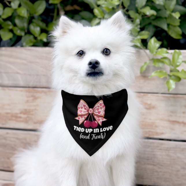 Cute Valentine's Pet Bandana - Pink Bow Cherry  Collar (Dog)
