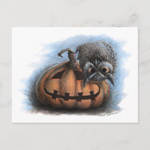 Cute Vampire Owl on Pumpkin_ Halloween postcard