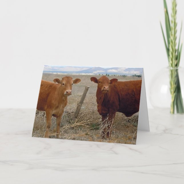 Cute Vet Graduation Congratulations Ranch Farm DVM Card (Front)