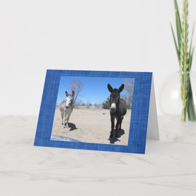 Cute Vet School Graduate Western Ranch Farm DVM Card (Front)