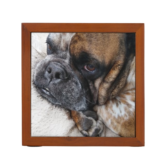 Cute Victorian Bulldog Photo Desk Organizer (Front)