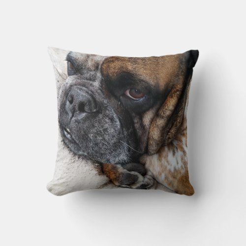 Cute Victorian Bulldog Photo Pillow