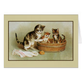 Cute Victorian cat bathing kittens in bath tub (Front Horizontal)