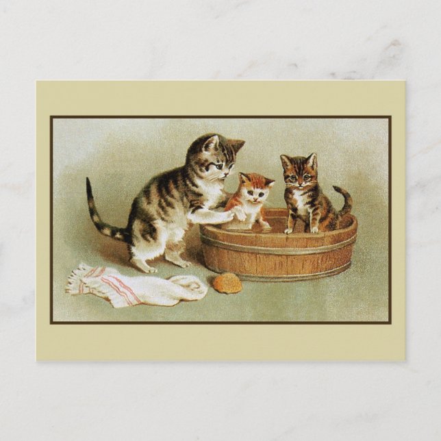 Cute Victorian cat bathing kittens in bath tub Postcard (Front)