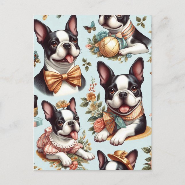 Cute Vintage Boston Terrier Illustration Postcard (Front)
