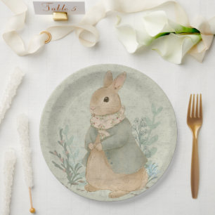 cute, vintage bunny in a blue jacket paper plates