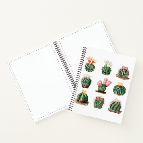 Cute Vintage Cacti Succulents Sketchbook Notebook