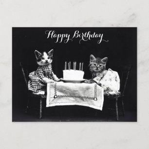 Cute Vintage Cat Birthday Party Postcard