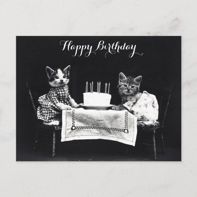 Cute Vintage Cat Birthday Party Postcard (Front)