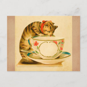Cute Vintage Cat Teacup Postcard