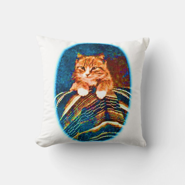 CUTE VINTAGE CAT THROW PILLOW (Front)