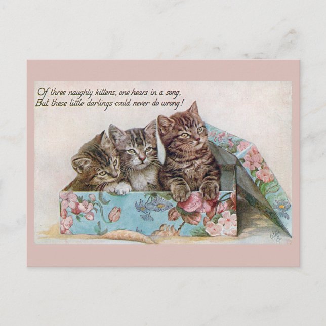 Cute Vintage Cats Victorian Poem Postcard (Front)