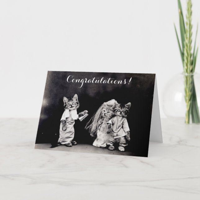Cute Vintage Cats Wedding Congratulations Card (Front)