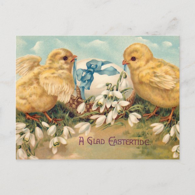 Cute Vintage Chicks and Easter Egg Postcard (Front)